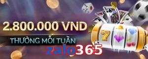 zalo365