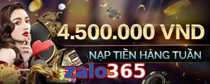 zalo365