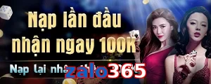 zalo365